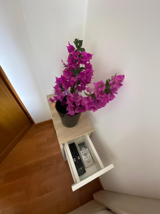 Attico Il Gabbiano Apartment